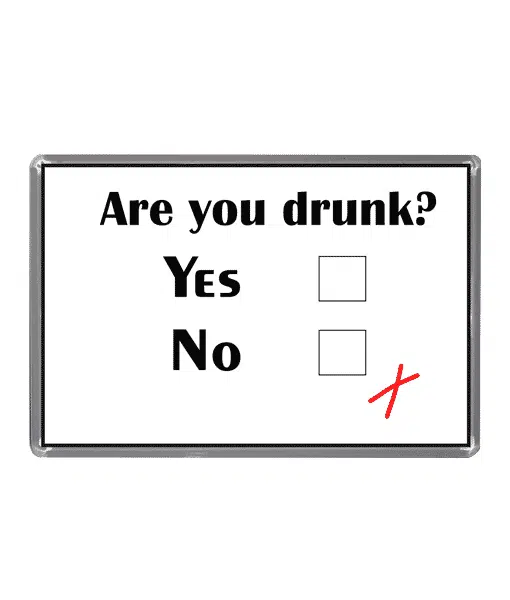 Are You Drunk? – Magnet Gifts For Him