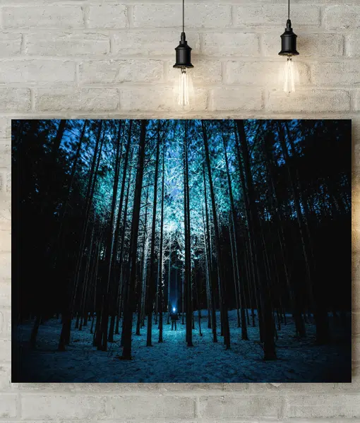 Night Shining Forest Picture Canvas