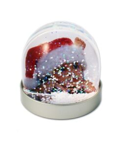 Photo Glitter Snow Globe – Your Photos Inside This Snow Globe Christmas