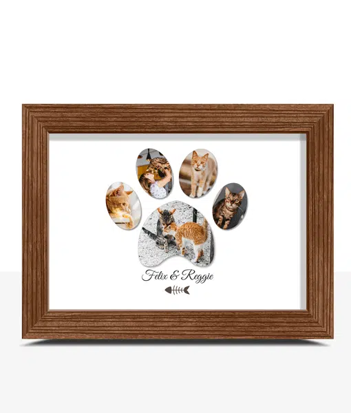 Cat Paw Collage Photo Print – Cat Lover Gift Animal Prints