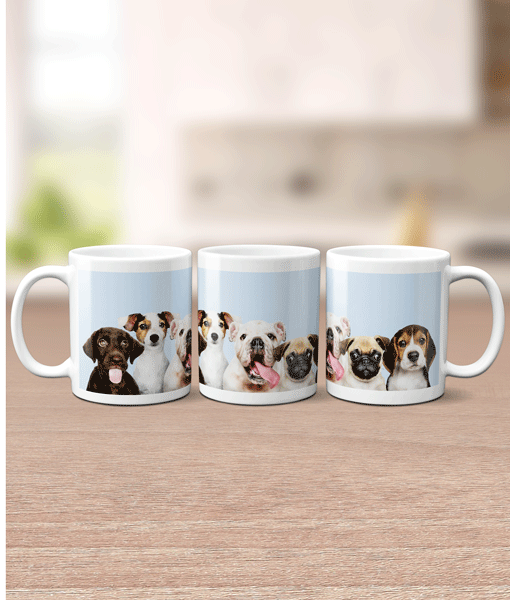 Panoramic Photo Mug – Wrap Around Photo Mug Family