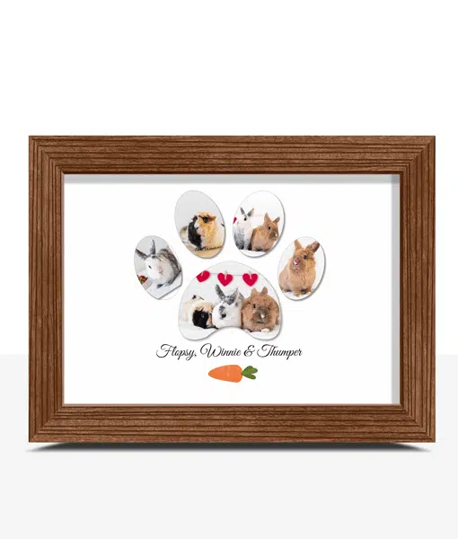 Personalised Pet Rabbit Paw Photo Print Gift Animal Prints