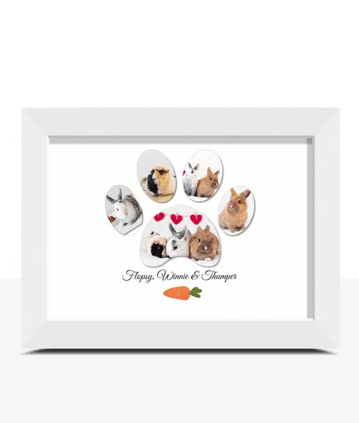 Personalised Pet Rabbit Paw Photo Print Gift Animal Prints