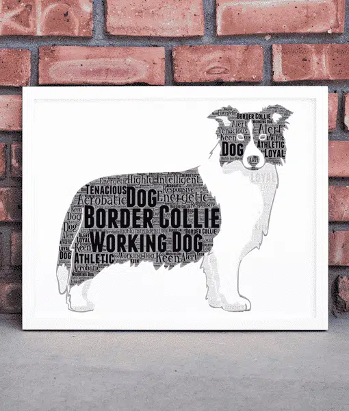 Personalised Border Collie Dog – Word Art Gift Animal Prints