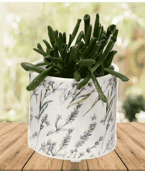 Lavender Indoor Planter – Ceramic Plant Pot